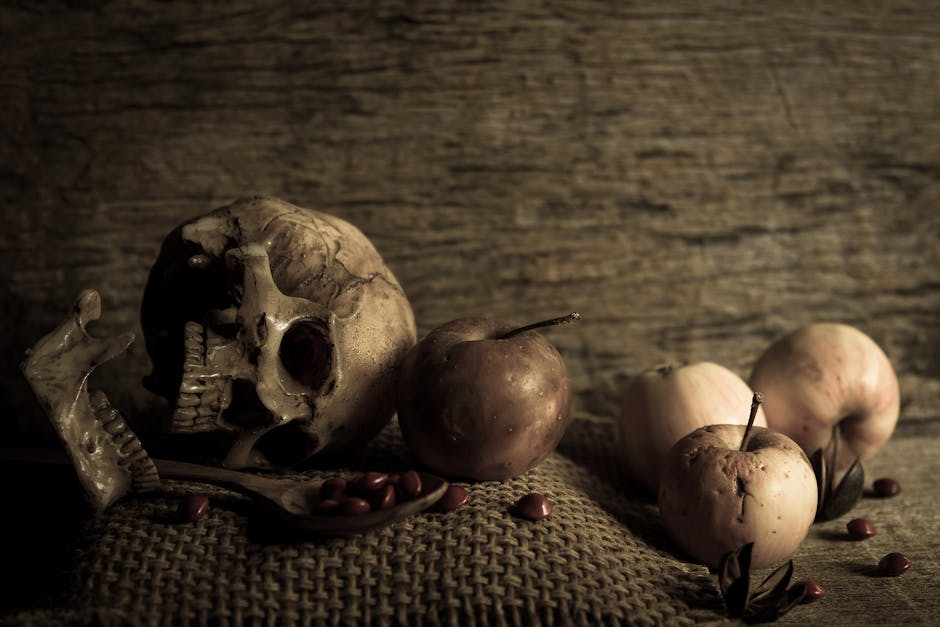 A haunting still life featuring a skull, apples, and seeds in a dimly lit scene.