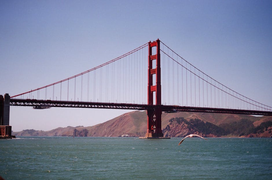 Stunning view of the Golden Gate Bridge with a seagull flying by, captured on film.