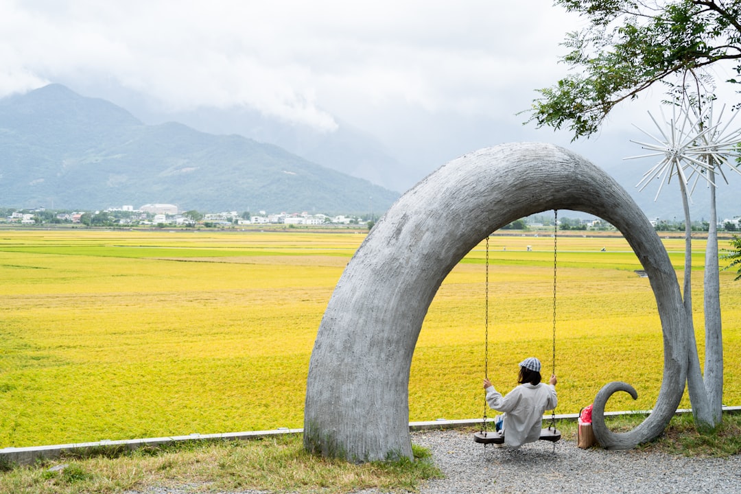 Person sits on a swing in a scenic rural landscape.